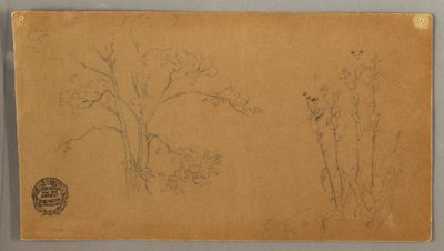 木と植物、エレカンペン 作： Frederic Edwin Church