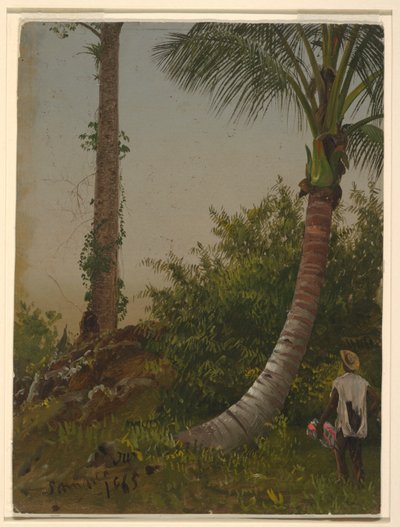 ジャマイカ、西インド諸島の木 作： Frederic Edwin Church