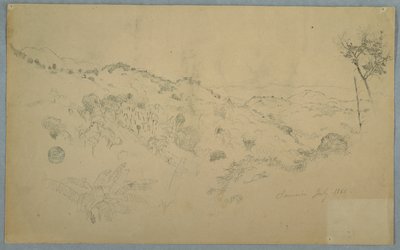 大きなシダと遠くの山脈、ジャマイカの樹木が茂った谷 作： Frederic Edwin Church