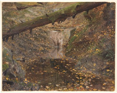 ウッドランド ストリーム、おそらくメイン州デザート山 作： Frederic Edwin Church