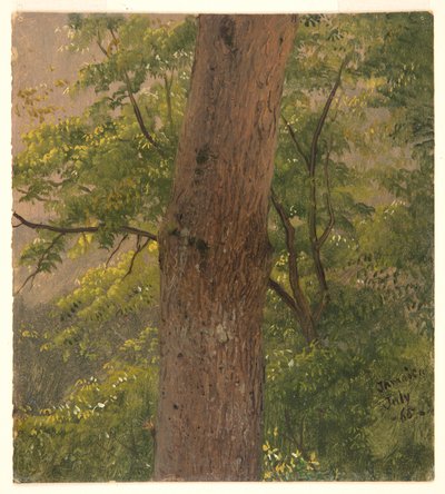 ウッドランド研究、ジャマイカ 作： Frederic Edwin Church