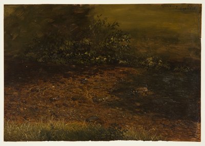 キャッツキルのウッドランド ストリーム 作： Frederic Edwin Church