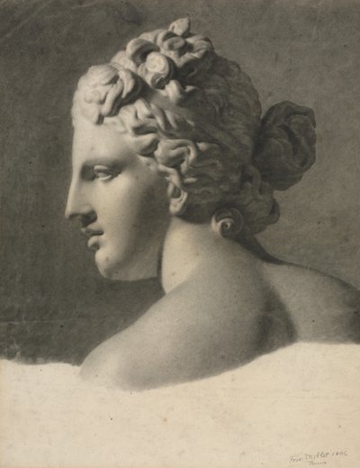 石膏模型の研究 (a la bose) 作： Frederic Millet