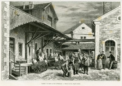 ミュルーズのミルクホールの乳製品。1885年にドイツ人デピューターのシャルル・グラッドが書いた「A travers l