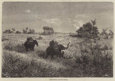 インドとプリンスオブウェールズ、ハウダーからのタイガーシューティング 作： Frederic Theodore Lix