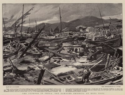中国の台風、香港での損傷した海運 作： Frederic de Haenen