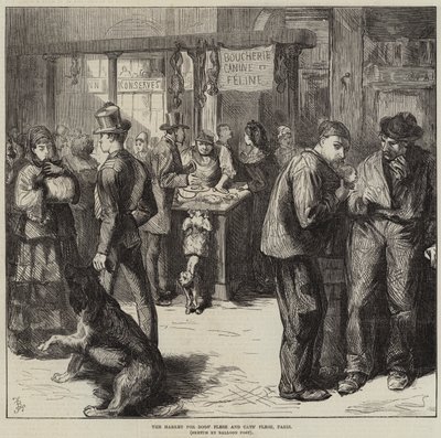 犬の肉と猫の肉の市場、パリ 作： Frederick Barnard