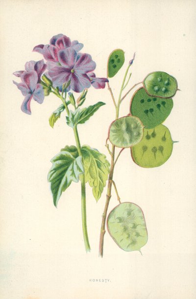 正直 作： Frederick Edward Hulme
