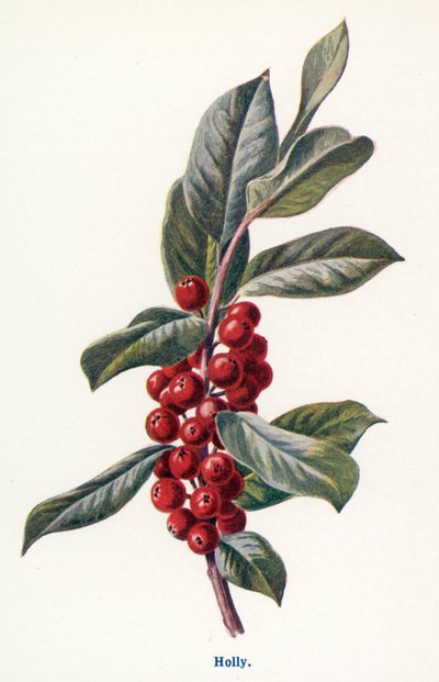 作： Frederick Edward Hulme