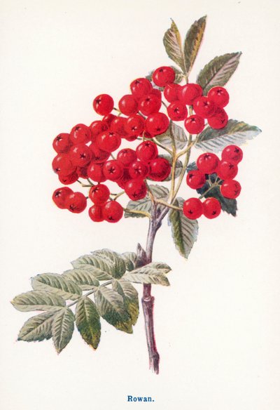  作： Frederick Edward Hulme