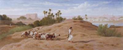 カイロ近くの山羊の群れ 作： Frederick Goodall