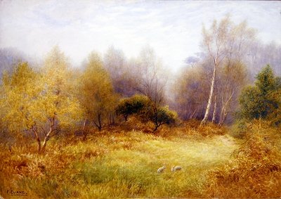 伐採された森の中のウサギ（水彩・紙） 作： Frederick Henry Evans