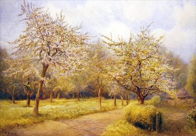 花咲く木」（水彩・紙） 作： Frederick Henry Evans