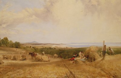 ハーベストフィールド、1846 作： Frederick Richard Lee
