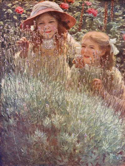 ラベンダーの茂み（カラーリトグラフ） 作： Frederick Stead