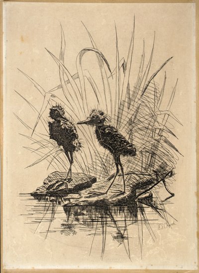 二羽の鳥 作： Frederick Stuart Church