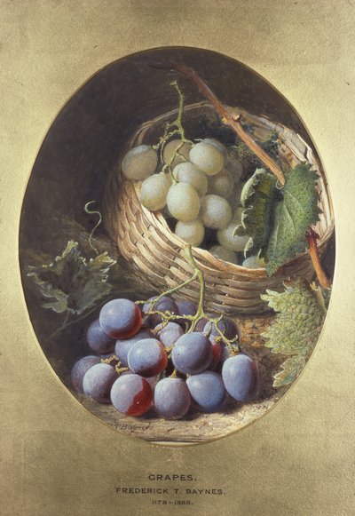 赤と白のぶどう 作： Frederick Thomas Baynes