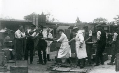1925年6月、ロンドン動物園の動物学協会のスタッフ11名のメンバーが運ぶ20フィートの長さのPython 作： Frederick William Bond