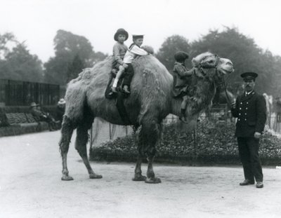 1924年6月、ロンドン動物園でキーパーのハリーワーウィックとバクトリアラクダに乗る 作： Frederick William Bond