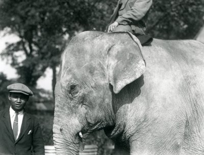 トレーナーと別の男性がいるビルマゾウ、ロンドン動物園、1926年9月 作： Frederick William Bond