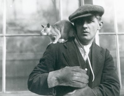 飼育員の肩に座るマダガスカルオオネズミ（ロンドン動物園 作： Frederick William Bond
