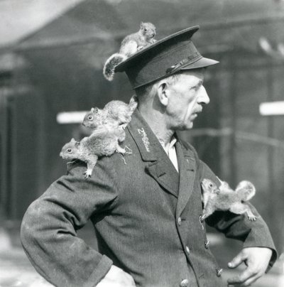 4匹の若い灰色リスが制服の帽子と上着に登っている二等飼育員（ロンドン動物園 作： Frederick William Bond