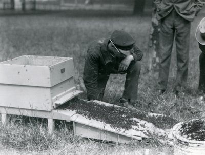 1926年7月、ロンドン動物園、ミツバチの群れを動かすブラウンを含む飼育係のグループ 作： Frederick William Bond