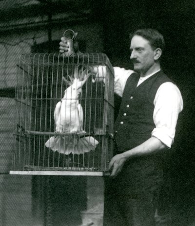 飼育係が1924年10月にロンドン動物園の檻で硫黄紋付きオウム（翡翠）を飼っています 作： Frederick William Bond