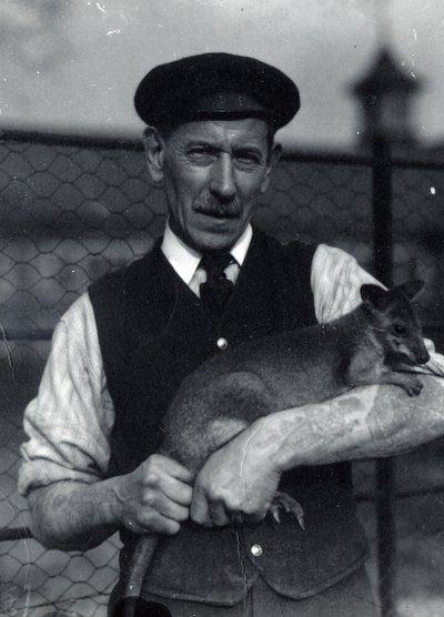 ワラビーを抱く飼育員（1920年10月）（モノクロ写真 作： Frederick William Bond