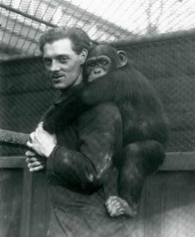 チンパンジーサリーを背負った男性、ロンドン動物園、1924年 作： Frederick William Bond