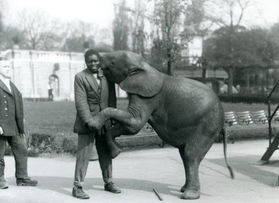 1925年7月、ロンドン動物園で飼育係が見ている間、若いアフリカのピグミーエレファントが後ろ足で立ってアフリカのトレーナーを抱きしめています。 作： Frederick William Bond