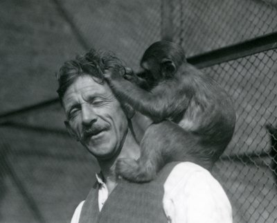 飼育員のフレインの髪を手入れする若い猿（ロンドン動物園、1928年）（モノクロ写真 作： Frederick William Bond