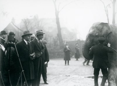 1925年にロンドン動物園からの外部放送に参加したインド象、おそらくサンデマーラ 作： Frederick William Bond