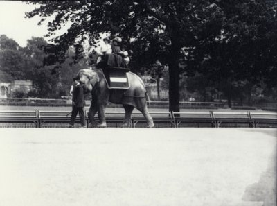 1914年5月、ロンドン動物園で飼育係に率いられながら、2人の女性と1人の子供に乗るアジアゾウ「ジェシー」 作： Frederick William Bond