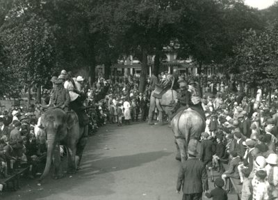 1926年8月、ロンドン動物園で3頭のアジアゾウを大勢の観客が見守る中でのエレファントライド（モノクロ写真 作： Frederick William Bond