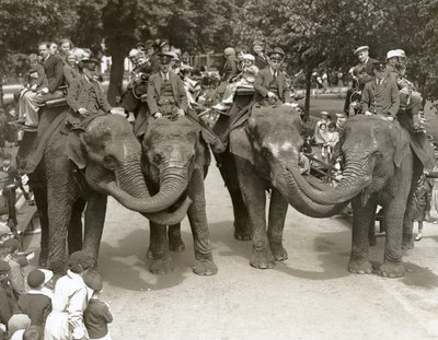 1936年7月、ロンドン動物園で象に乗る 作： Frederick William Bond