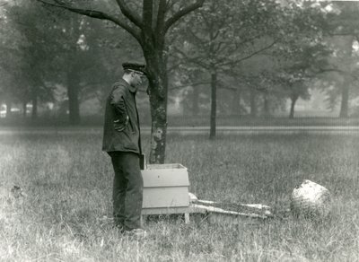 ミツバチの群れを動かすキーパーブラウン、ロンドン動物園、1926年7月 作： Frederick William Bond