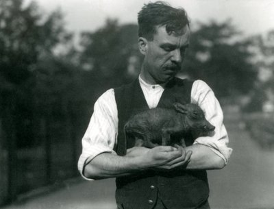 1922年8月にロンドン動物園で飼育員のハリーワーウィックが赤ちゃんイボイノシシを抱きしめて 作： Frederick William Bond