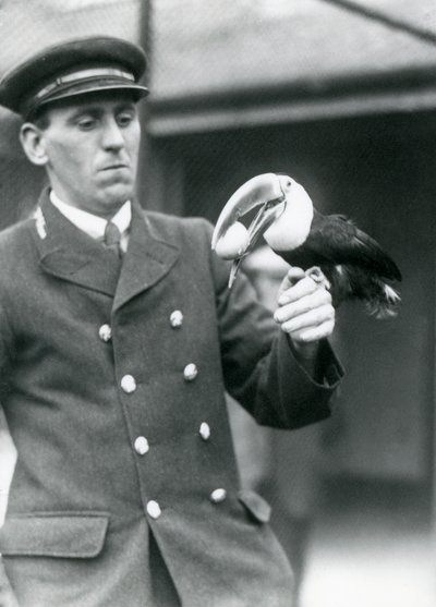 飼育係のトーマスラゲット、1924年にロンドン動物園で卵を口にしたオオハシオオハシを抱きしめる 作： Frederick William Bond