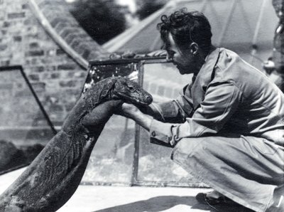 キーパーH.アレックバッドとコモドドラゴンスンバワ、1928 作： Frederick William Bond