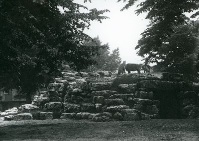 1924年6月にロンドン動物園でエランドアンテロープパドック 作： Frederick William Bond