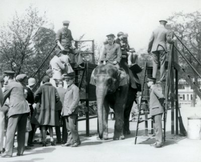 1927年にロンドン動物園の5人の飼育係の助けを借りて、エレファントライドを待っている人や他の人が乗っている訪問者 作： Frederick William Bond