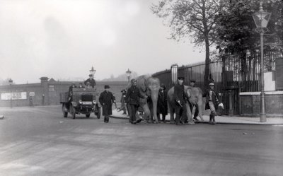 1923年にドックから象のペアをZSLロンドン動物園まで歩く。これが最後に行われたとき 作： Frederick William Bond
