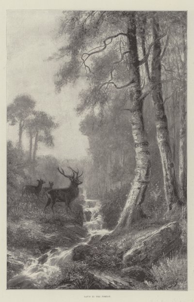 森の夜明け 作： Frederick William Hayes