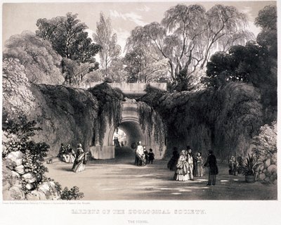 動物園、リージェンツ パーク、メリルボーン、ロンドン、c1840 作： Frederick William Hulme