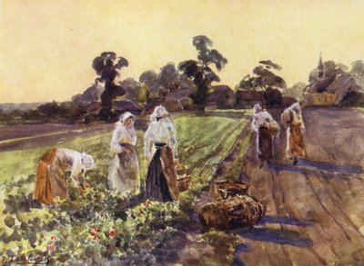 Exhallの回避 作： Frederick William Newton Whitehead
