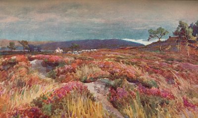 ヒース・リチェット・ミンスター、c1904 作： Frederick William Newton Whitehead