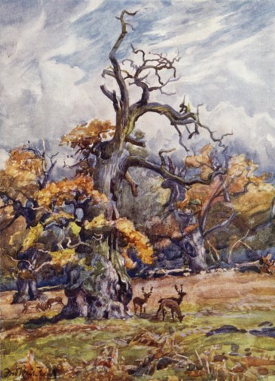 パッキントンパーク 作： Frederick William Newton Whitehead