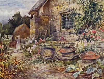 ウィンダートン 作： Frederick William Newton Whitehead
