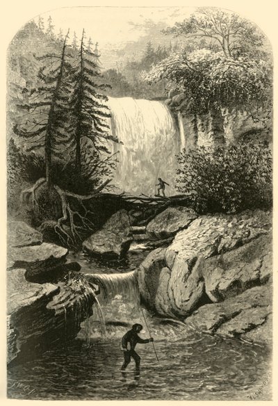 「ブラックウォーターの滝」、1872 年。 作： Frederick William Quartley